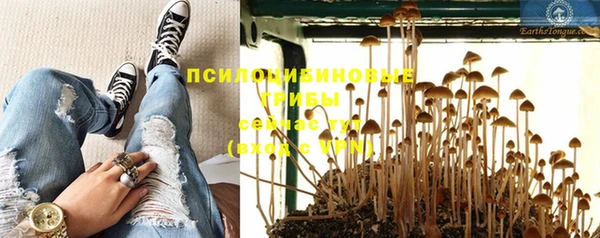 герыч Алексин