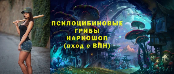 гидропоника Алексеевка
