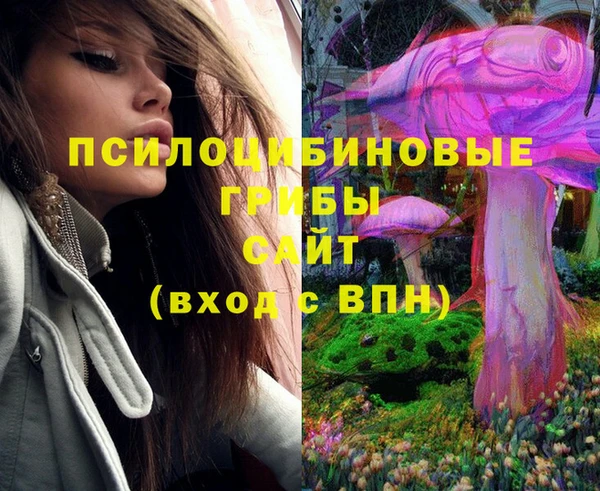 дурь Алзамай