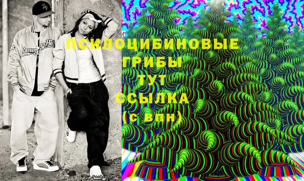 дурь Алзамай