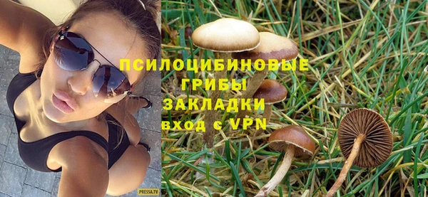 дурь Алзамай