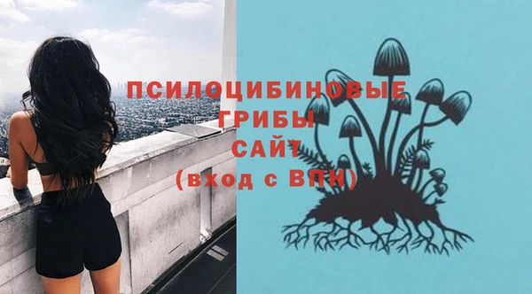 гидропоника Алексеевка