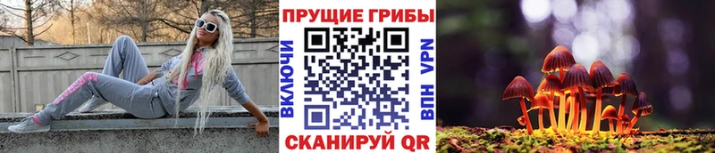 Галлюциногенные грибы Cubensis  Курлово 
